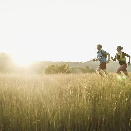 Holimo Stronie Śląskie