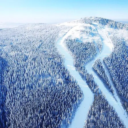 Holimo 3* Stronie Śląskie