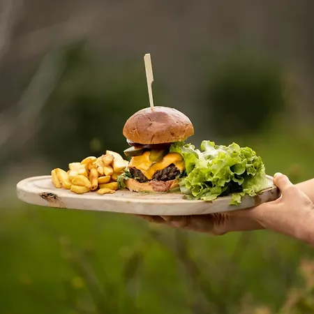 Holimo Stronie Slaskie