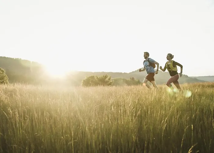 Holimo Stronie Śląskie