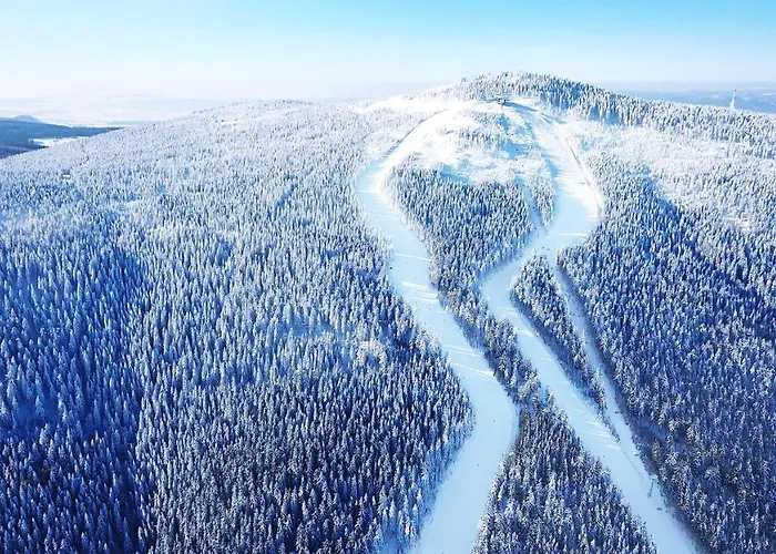 Holimo 3* Stronie Slaskie